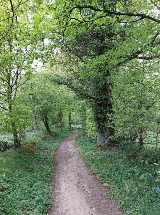 Отель Le Petit Bois Normand Champ-du-Boult Экстерьер фото